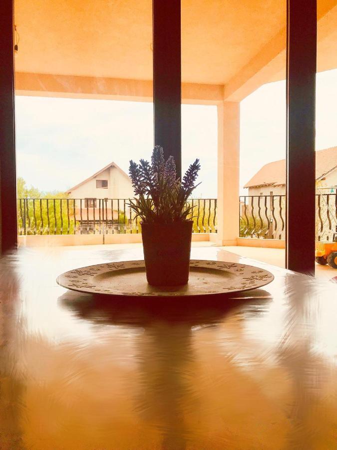 Breeze Villa Mamaia Nord Năvodari Eksteriør billede